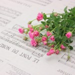 パンフレットのページ数はどう決める？